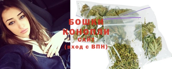 хмурый Новозыбков