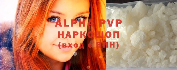 хмурый Новозыбков