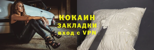 хмурый Новозыбков