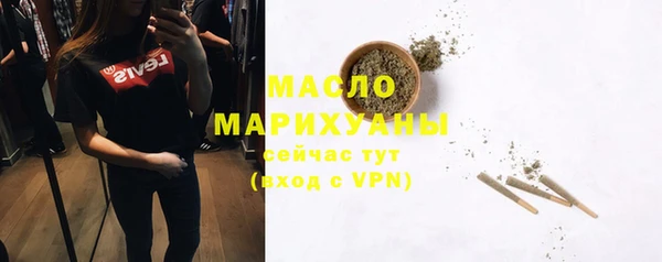 хмурый Новозыбков
