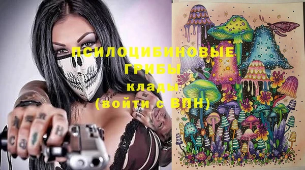 ПСИЛОЦИБИНОВЫЕ ГРИБЫ Нефтегорск